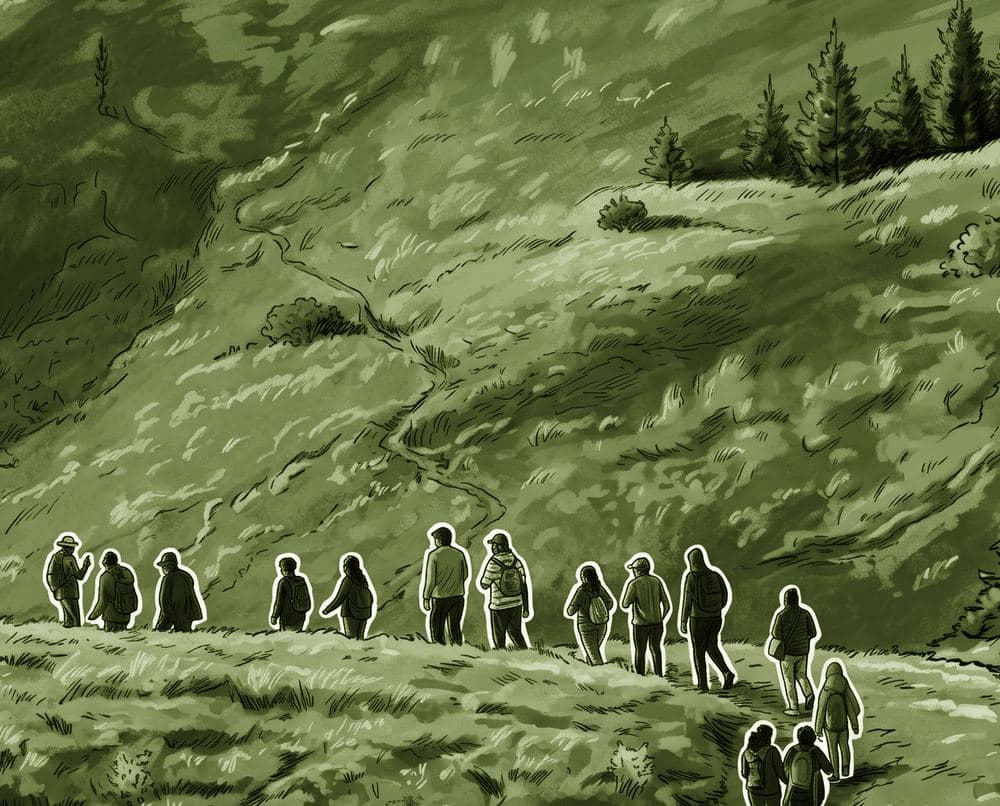 Hikers descending a mountain path